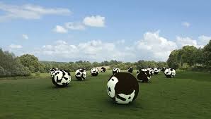 ¿Sistemas de coordevacas?