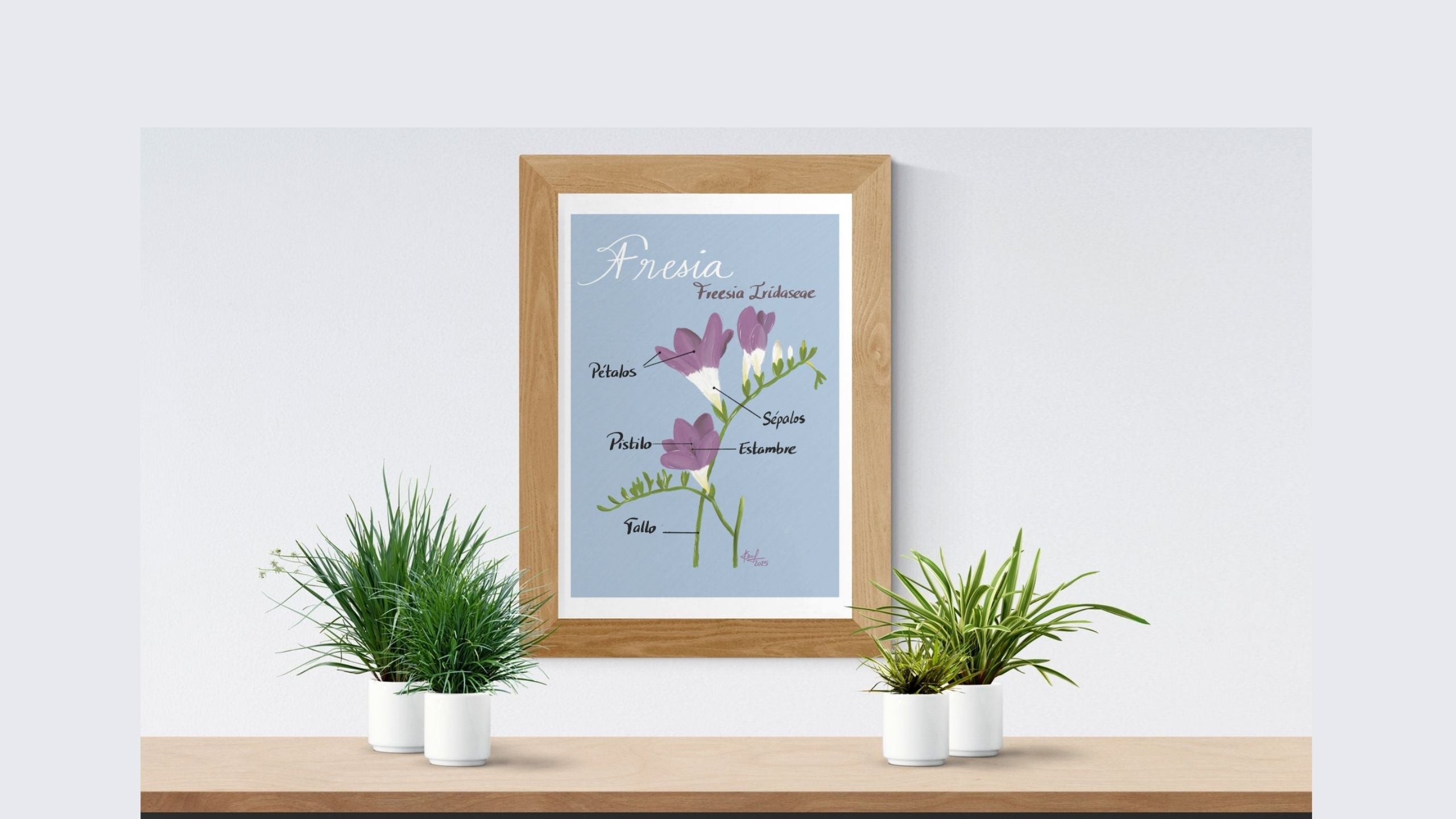 Fine Art Prints - by Profe Somar