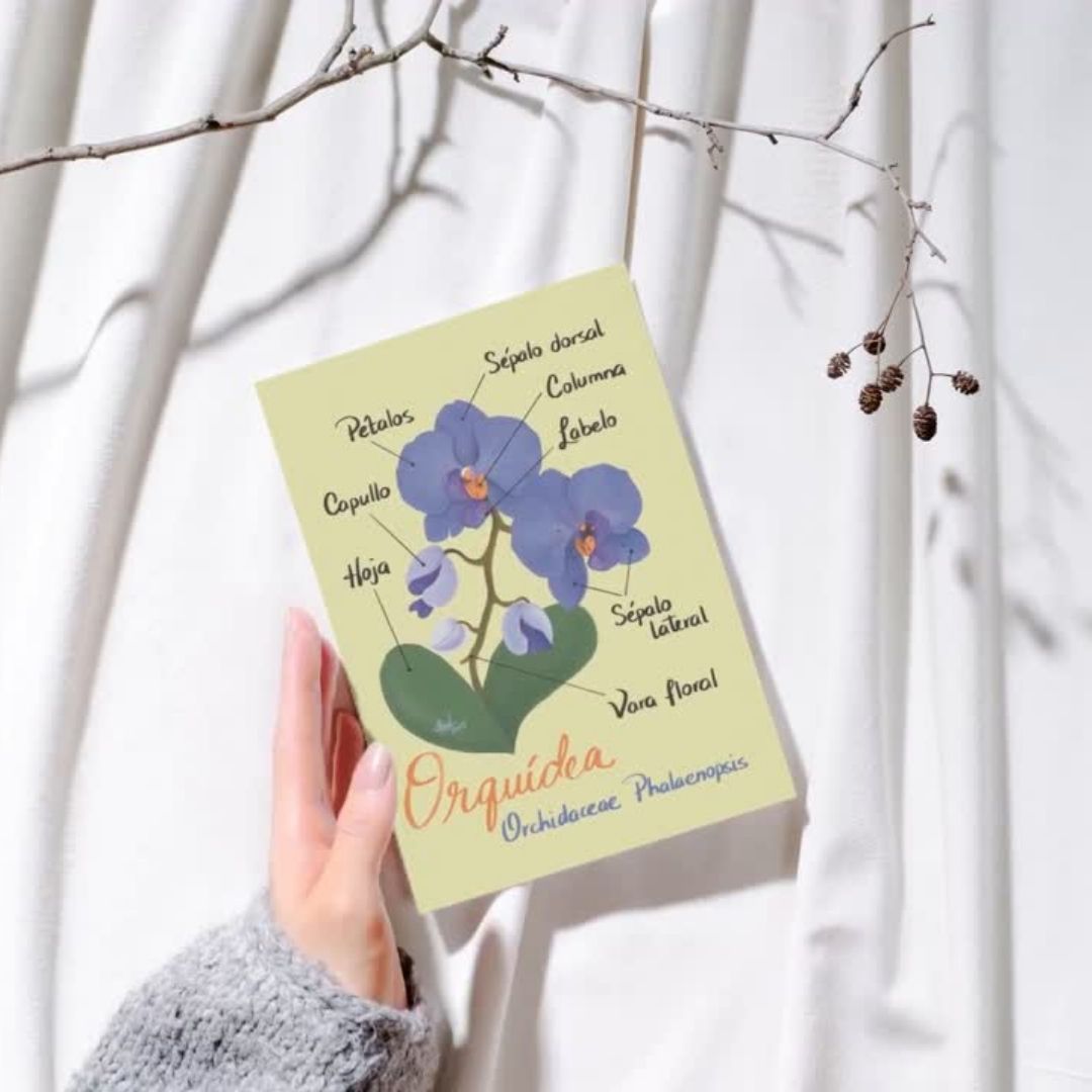 Jardín Botánico - by ProfeSolmar