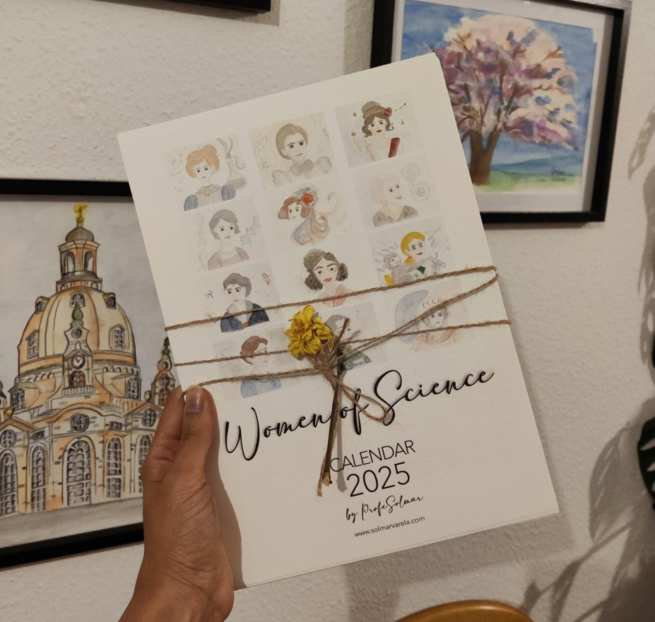 Todos los productos en stock