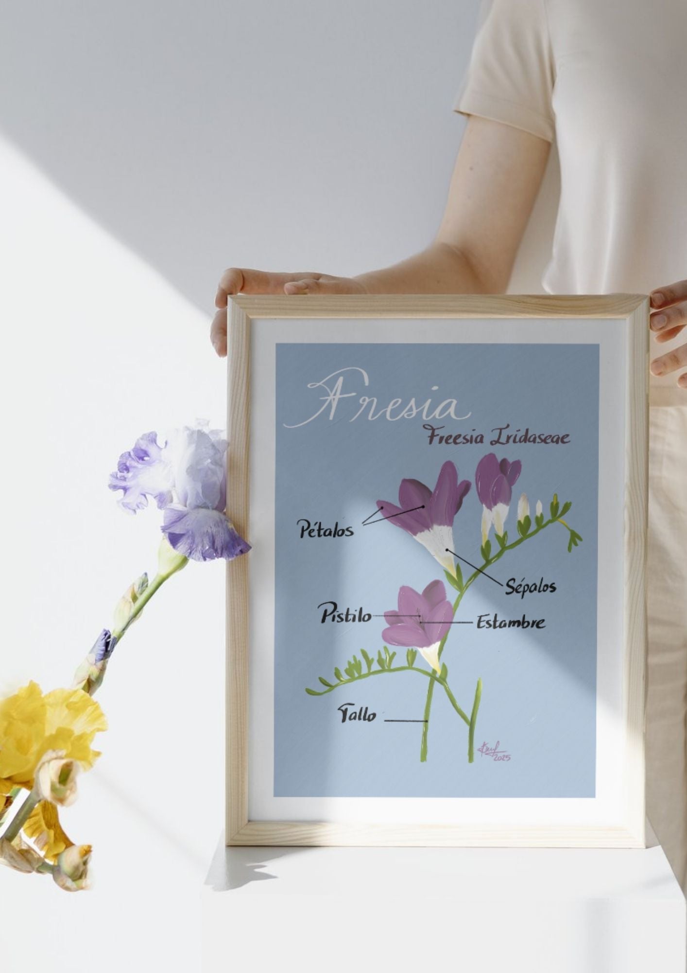 Art Print Fresia – Colección Jardín Botánico - by ProfeSolmar