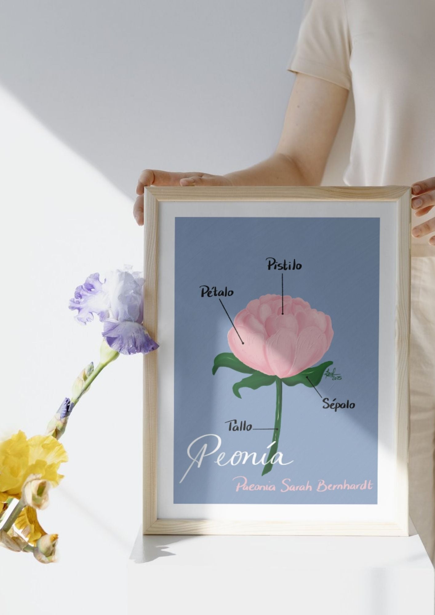 Art Print Peonía – Colección Jardín Botánico - by ProfeSolmar