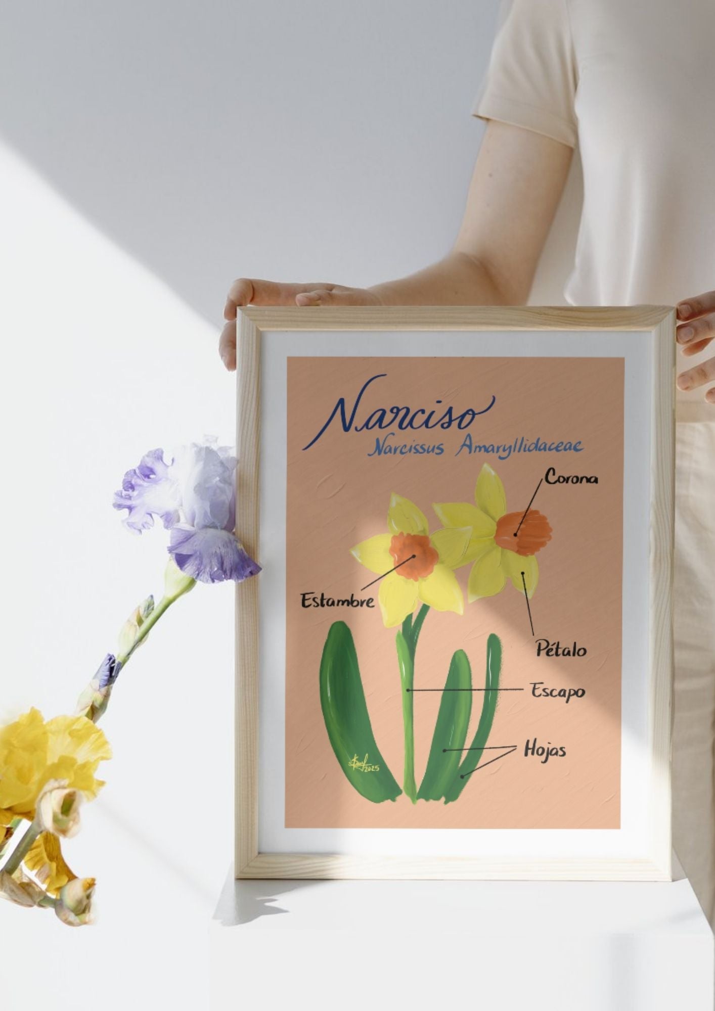 Art Print Narciso – Colección Jardín Botánico - by ProfeSolmar